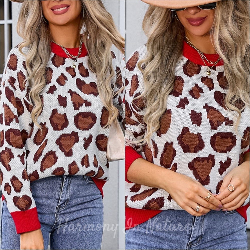 Bold Borders Leopard Sweater - Cream